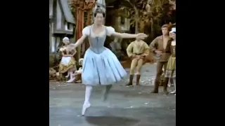 “Carla Fracci as Giselle in the 1969 with @abtofficial 👑 #balletclassical   @valeriopalumb”