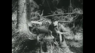 Волочаевские дни 1937. Уничтожение красными партизанами японского патруля в лесу