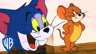 Tom and Jerry | Tom the Mouse | WB Kids