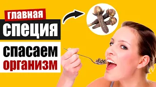 Гвоздика – уникальная специя на страже здоровья: рецепты, как она действует на организм