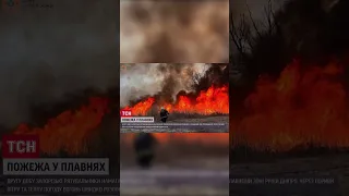 😱 Не допомагає навіть спецтехніка! В Запоріжжі надзвичайники намагаються приборкати масштабну пожежу