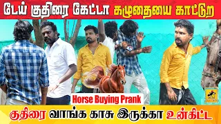 குதிரை Prank | Horse Buying Prank | Katta Erumbu