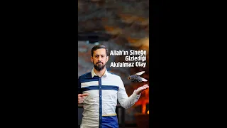 Allah'ın Sineğe Gizlediği Akılalmaz Olay | Mehmet Yıldız #shorts