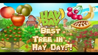 HAY DAY - MOST PROFITABLE TREE IN HAY DAY!? (APPLE, LEMON, BANANA, ORANGE...)