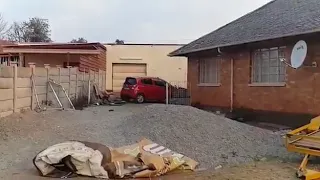 Watch my Dogs Catch a thief