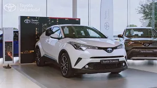 Toyota Ocasión