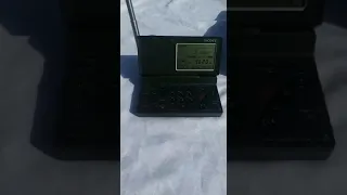 SONY DIGITAL RADIO ICF-SW100