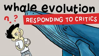 Whale Evolution: A Rebuttal
