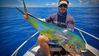 Gold Coast Marlin and Mahi Mahi Jan 2016