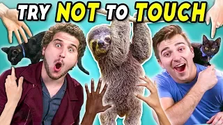 Try Not To Touch Challenge (ft. Sid The Sloth!)