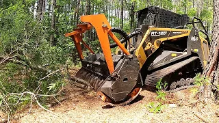 THE TREES STRIKE BACK! BIG PINE TREES ALMOST CAUSE CATASTROPHE!