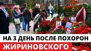 Сегодня Утром На Могиле Жириновского