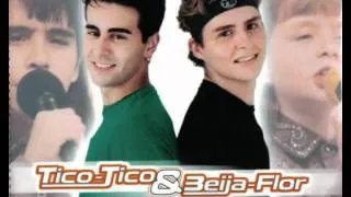 Enamorado por Primeira Vez - Tico Tico & Beija Flor