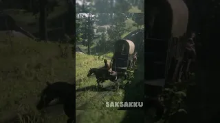 Yang Terjadi jika Mengikuti Pengendara Kereta Kuda di RDR2