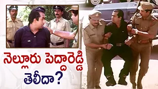 Brahmanandam's Nelluru Pedha Reddy Comedy | Anaganaga Oka Roju Comedy Scenes | Brahmi Comedy Scenes