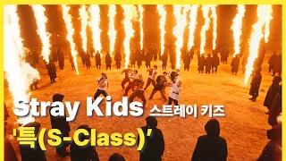 [Reaction]  "특(S-Class)" - Stray Kids(스트레이 키즈)  / 📷 영상제작자 뮤비 리액션 M/V Reaction