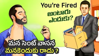 Interesting Facts in Telugu | what does it mean You are fired | Scent smell | Telugu Facts