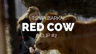 Red Cow (Para Aduma) - Tsivia Barkai Film Clip 2 (Berlinale 2018)