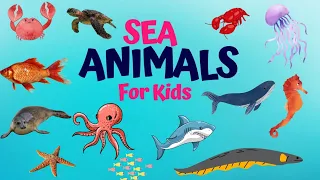 🐠🦀🐬SEA ANIMALS FOR KIDS | ANIMALS NAMES | ENGLISH VOCABULARY EASY LEARNING #OceanAnimal #SeaCreature