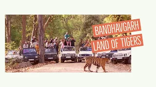 Bandhavgarh National Park And Tiger Reserve || Tiger safari || Madhya Pradesh