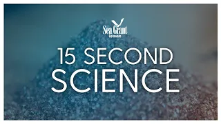 15 Second Science: Sonar and sediment types