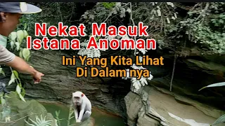 Lihat Sendiri ! Istana Anoman Kera Putih Di Jombang Seperti ini Dalamnya