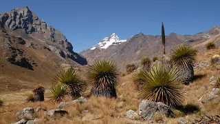 Peru. Cordillera Blanca. Olleros - Chavín de Huántar. Laguna Querococha - Cátac. Individual Trekking