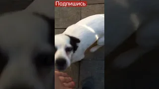 ТИМКА КРАСАВЧИК !