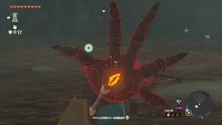 Didn't know Gloom Hands can do This until Now...Zelda TotK