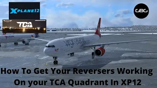 X-Plane 12 - TCA Thrustmaster Quadrant - How To Get Reversers Working