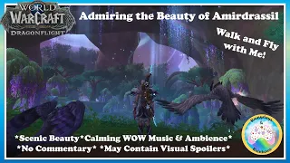 Scenic Beauty & Calming  World of Warcraft Music & Ambience: Amirdrassil Walk & Fly with Me