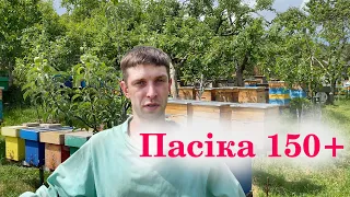 Як все відбувається на ПАСІЦІ