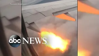 Plane passengers see flames after bird strike l ABC News