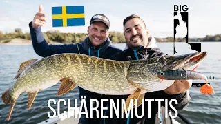 Das Paradies für Angler - Big L in Schweden auf Hecht in den Schären - Eriksberg