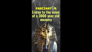 Listen to the voice of a 3000 year old mummy #shorts