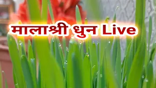 Malashree Dhun ( Dashain dhun)||BuddhaLamaflute||Acrelic flute