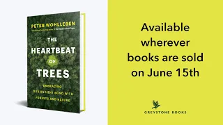 The Heartbeat of Trees with Peter Wohlleben