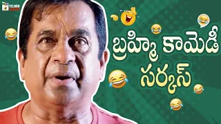 Brahmanandam Back To Back Comedy Scenes | Brahmanandam Best Comedy Scenes | Mango Telugu Cinema