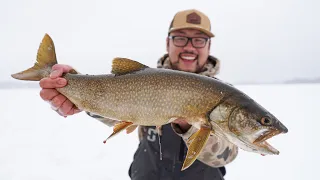 The Boundary Waters: Inland Lake Trout Through The Ice! (Catch & Cook)