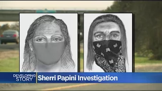 New Evidence Released In Sherri Papini Disappearance