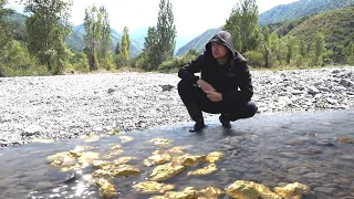 Whole river of gold nuggets! The most gold-bearing rivers!