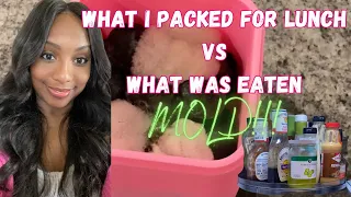 What I packed for lunch VS What was eaten (MOLD?)