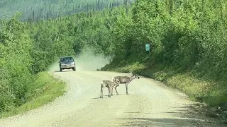 Top of the world highway from Tok, Alaska to Dawson City, Yukon