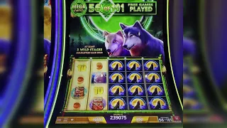 Wolf Run MEGA Free Games 1000X Win