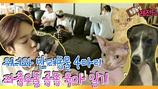 [TV 동물농장 레전드] ‘위너의 real 공동 육아 일기’ EP. 1 풀버전 다시보기 I TV동물농장 (Animal Farm) | SBS Story