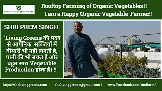 Grow Organic Vegetables on Rooftop | The Living Greens