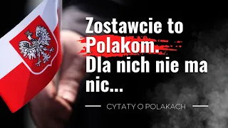 15 cytatów o Polakach🇵🇱 które musisz poznać! Co o nas mówił Napoleon, Marks czy car Rosji? Sprawdź!