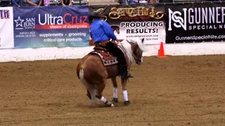 Wimpys Little Freckl ridden by Peter DeFreitas - 2015 NRBC(Open Finals)