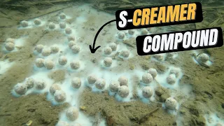 S-Creamer Compound | Catch More Carp | Quality Carp Food