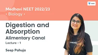 Digestion and Absorption | Alimentary Canal | L1 | NEET 2022/23 | Seep Pahuja